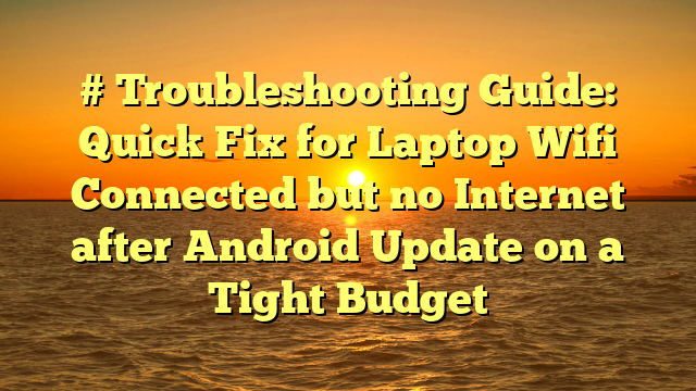 # Troubleshooting Guide: Quick Fix for Laptop Wifi Connected but no Internet after Android Update on a Tight Budget